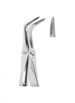 Extracting Forceps